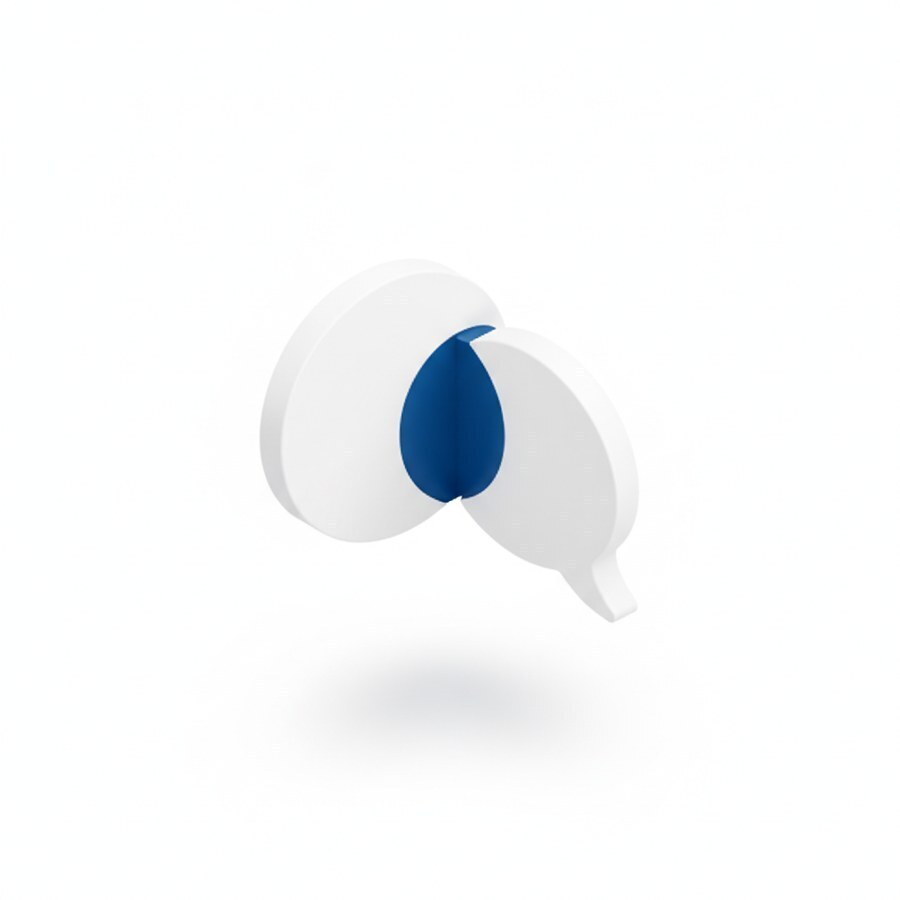 Multilingual Voice AI