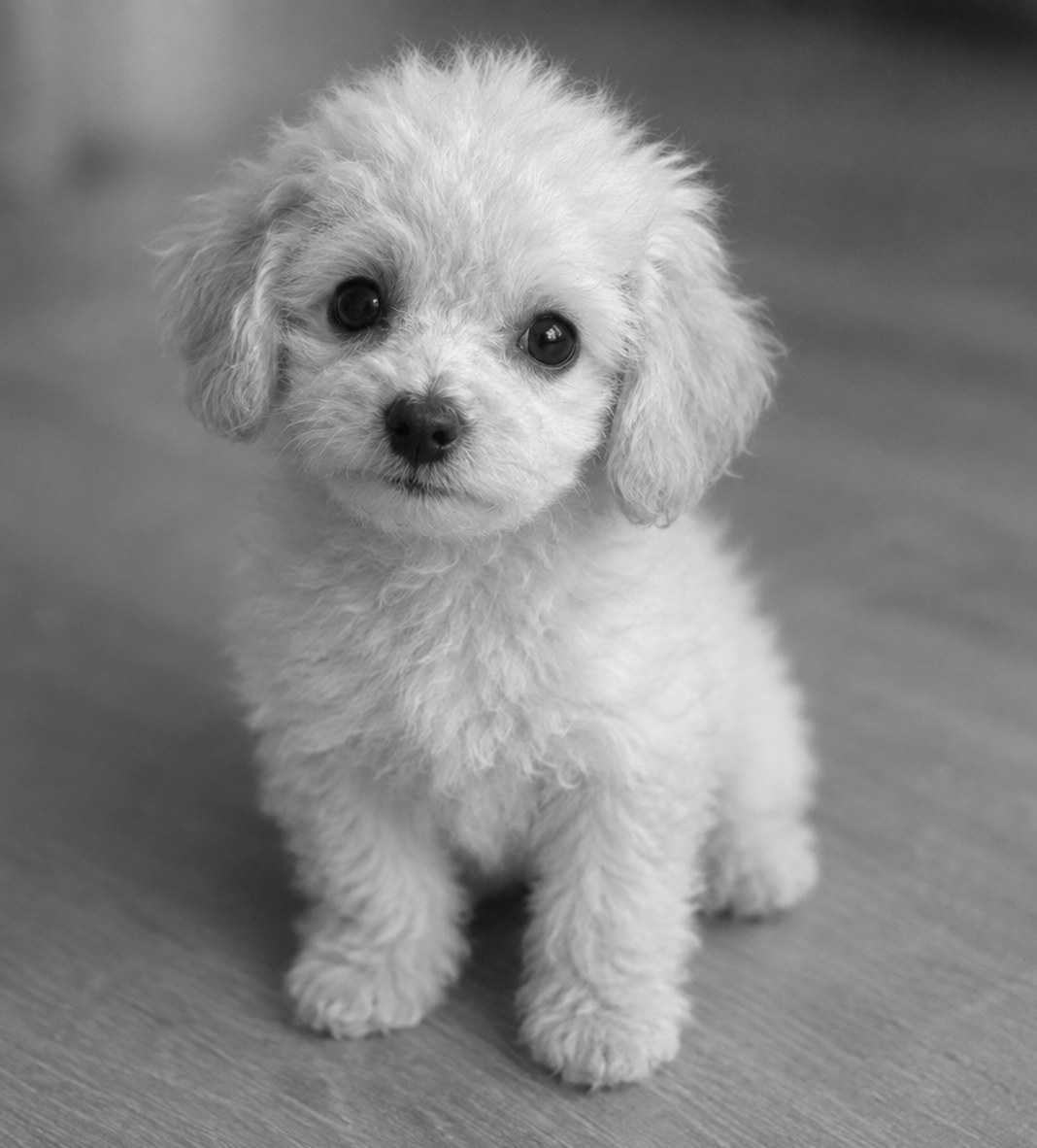 Phoebe Valentine as a child